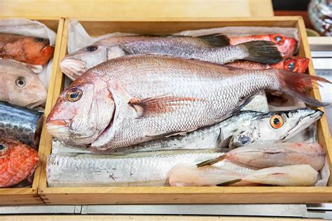 赤吉魚|今治の魚は、本当においしいの？ミシュラン店大将と伝説の漁師。